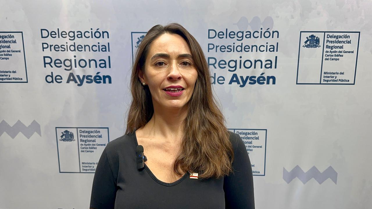 Delegación Presidencial ratifica continuidad de programa de entrega de leña